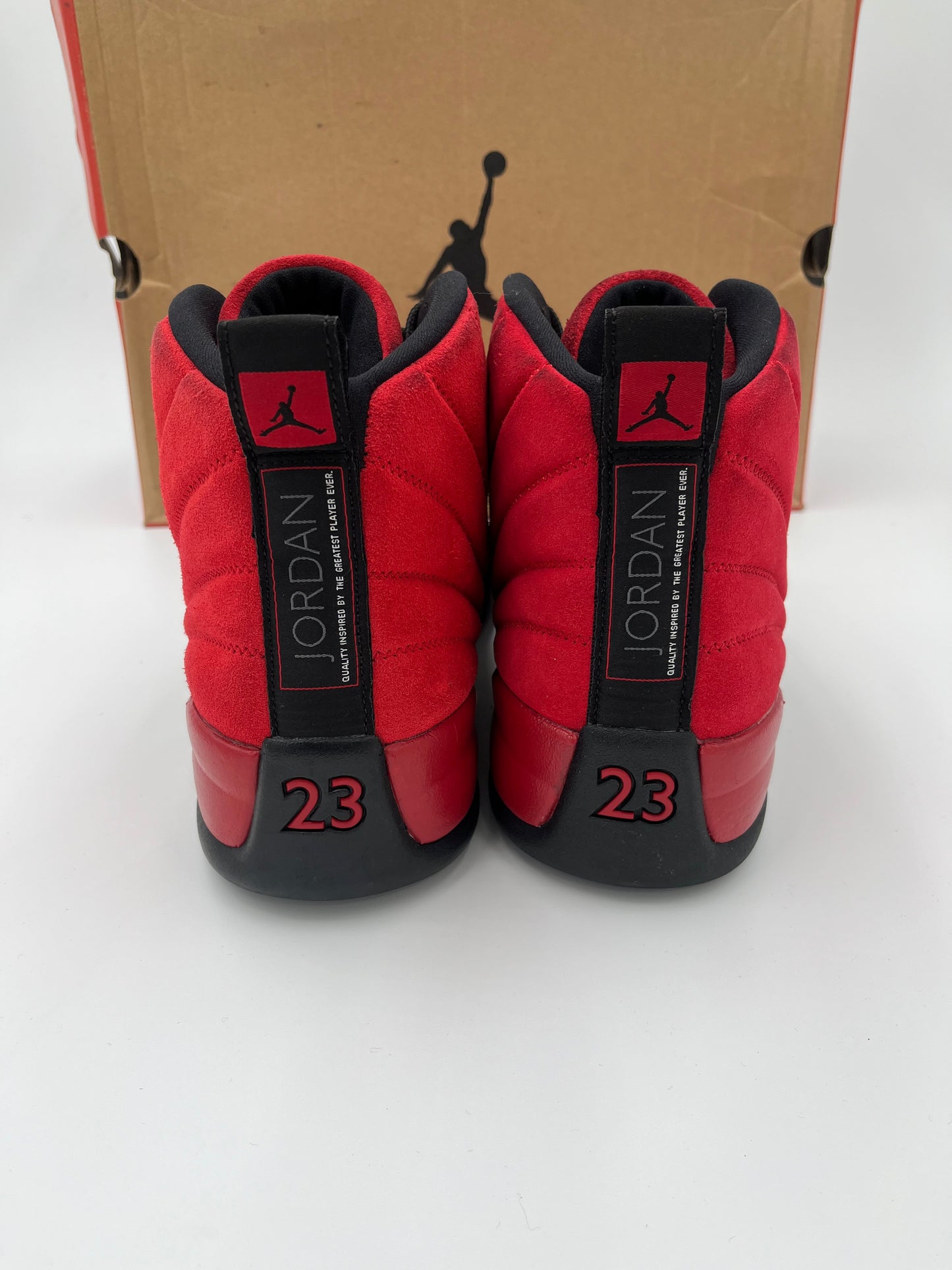 Jordan 12 reverse flu game